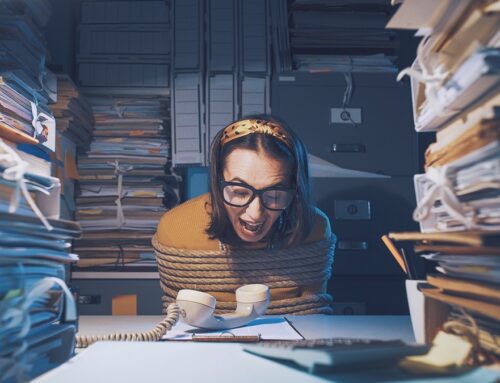 KfW Research: Bürokratie größtes Hemmnis beim Gründen